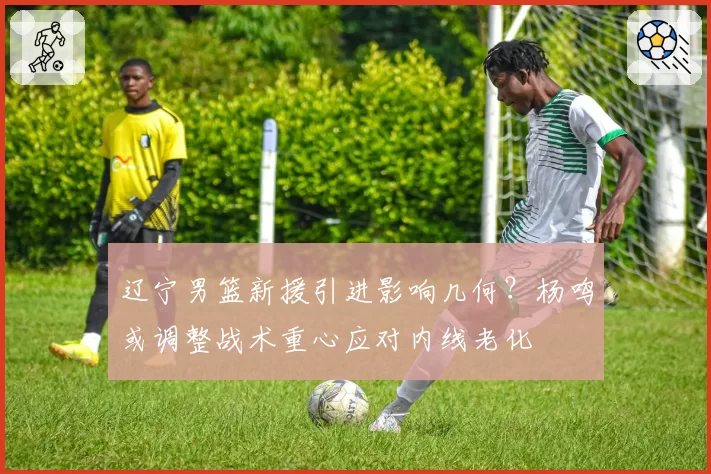 辽宁男篮新援引进影响几何？杨鸣或调整战术重心应对内线老化