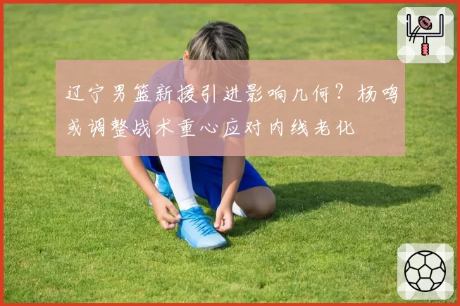 辽宁男篮新援引进影响几何？杨鸣或调整战术重心应对内线老化