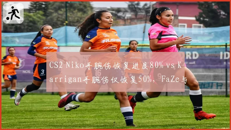 CS2 Niko手腕伤恢复进度80% vs Karrigan手腕伤仅恢复50%，FaZe与Faze阵容完整度各异