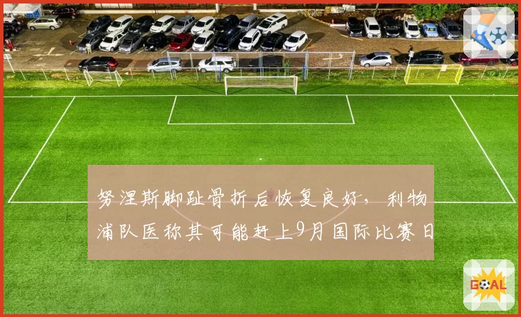 努涅斯脚趾骨折后恢复良好,利物浦队医称其可能赶上9月国际比赛日